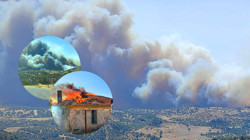 21 Saatlik Kabusta Orman Kül Oldu, Hayvanlar Öldü! Sorumlular Serbest Kaldı