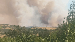 Balıkesir'deki Yangın Kontrol Altında