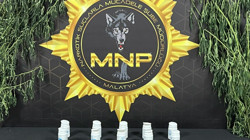 Malatya’da Uyuşturucu Operasyonunda 9 Tutuklama