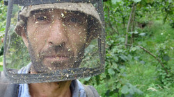 Sadece 15 Gün Çalışıyorlar, Günlük 6 Bin TL Kazanıyorlar! Cebinden 1 Kuruş Çıkmadan Maaşını Alıyorlar