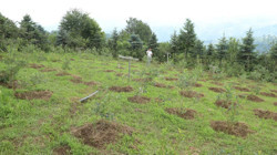 Arkadaşı Tavsiye Etti, İnternetten 100 Tane Aldı! İlk Kez Topluyor, Paraya Para Demiyor