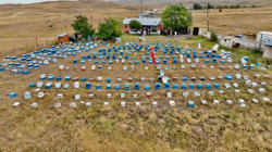 Ağrı'da En Tatlı Hasat Başladı: Bereket Artıyor, Kadınlar Tek Tek O İşe Yöneliyor