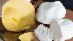 Sarı mı, Beyaz mı? Gerçek Tereyağı Hangi Renkte Olur? Meğer Yıllardır Yanlış Biliyormuşuz