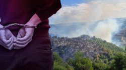 Tokat'taki Orman Yangınında Bir Gözaltı