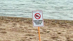 3 İlde Denize Girmek Yasaklandı: Kırmızı Bayraklar Sahillere Çekildi