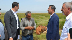 CHP'li Adem: İki İl Afet Bölgesi İlan Edilmeli