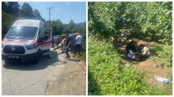 Düzce’de Fındık İşçilerini Taşıyan Traktör Devrildi: 8 Yaralı