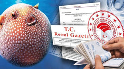 Karaya Çıkaran Paraya Para Demeyecek! Bakanlık Resmen Duyurdu, Bu Balığa Dikkat
