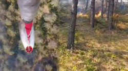 Sinop'ta Orman Yangını! Bir Köy Tahliye Edildi