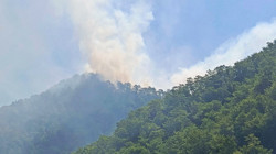 Mersin Anamur'da Orman Yangını