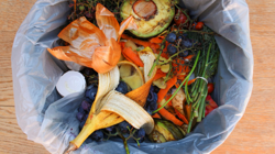 Çiçeklerinizi Coşturacak Sır Mutfağınızda Saklı! Uzman Bahçıvan Özel Tarifle Açıkladı