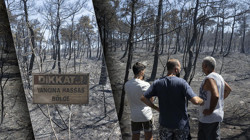 Ağaçlar Gitti, Milyonlar Uçtu… Türkiye Yangınla Yoksullaşıyor! Ağaç Başına Binlerce Lira