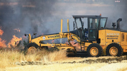 Lüleburgaz'da 70 Hektarlık Alan Kül Oldu