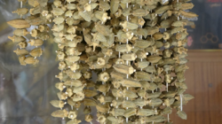 Sezonu 5 Bin Liradan Açtı, Gram Altını Solladı! Yeşil Altında Hasat Başladı