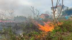 Trabzon'da Çıkan Örtü Yangını Söndürüldü