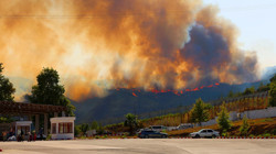 Alevler Sınırı Aştı: Suriye'deki Yangın Türkiye'ye Sıçradı