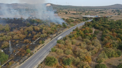 Edirne'de Anız Yangını Söndürüldü