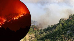 'Kızıl Kabus' 4 İli Sardı! Çanakkale'de Her Gün Bir Yeni Orman Yangını