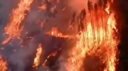 Portekiz’de Orman Yangınlarında 1 Kişi Öldü