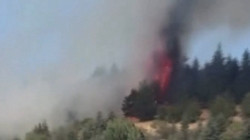 Ankara Bala'da Orman Yangını