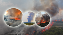 Çanakkale’nin Nefesi Kesildi! Kahreden Değişim… Bir Köşede Devam Eden Alevler Bir Köşede Küle Dönen Bahçeler