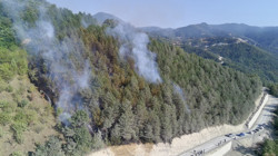 Sinop'ta Orman Yangını