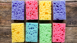 Bulaşık Süngeri Renkleri Ne Anlama Geliyor? Bir Renk Farkı Bütün Tabaklarınızı Çizebilir