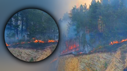 Bolu'da Orman Yangını