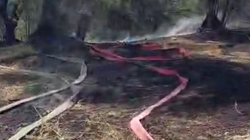 Bursa'da Yangın Paniği! Büyümeden Söndürüldü