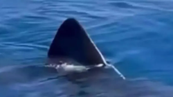 Antalyalıları Korkudan Titreten Görüntü! Gerçek 2 Hafta Sonra Ortaya Çıktı