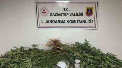 Gaziantep'te Uyuşturucu Operasyonu! 5 Kilo Esrar İle 178 Kök Kenevir Ele Geçirildi