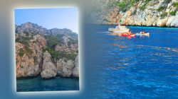 Denizin Ortasında Mucize Kurtuluş! Batan Teknede Kaybolan Çocuklar Nasıl Hayatta Kaldı?