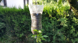 Pet Şişeyle Üretti, Hasat Üstüne Hasat Etti! Verim 2 Kat Arttı