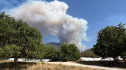 Denizli, Diyarbakır ve Malatya'da Orman Yangını