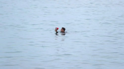 Faslı Futbolcu, İspanya'ya Kadar Yüzüp İltica Etti