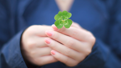 Geleceğini Şimdiden Şekillendirebilen 3 Burç: Her Zaman 4 Ayak Üstüne Düşüyorlar