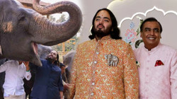 Hindistan'ın En Zengin Ailesine 'Hayvan İstismarı' Davası! İddialar Kan Dondurdu