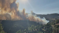 Susurluk'taki Orman Yangını 12 Saatte Söndürüldü