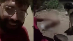 Ankara'da Köpeğe Alkol İşkencesi! Bir de Telefonla Kayda Aldı... O Şahıs İçin Harekete Geçildi