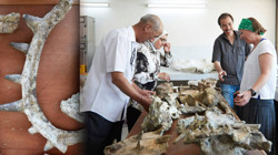 Bilim Dünyası Şokta! En 'Sıra Dışı' Dinozor Keşfedildi: 'Başka Hiçbir Hayvanda Böyle Bir Şey Görmedik'