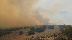 Balıkesir'de Çıkan Orman Yangını Kontrol Altında