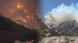 Denizli'de Orman Yangınında Bir İşçi Yaralandı