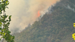 Bartın'da Orman Yangını Kontrol Altına Alındı