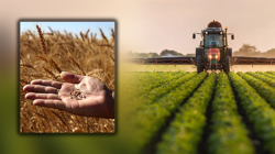 Tarımda Yeni Dönem! Tarlası Olan Herkesi İlgilendiriyor, Hasat Öncesi Sürpriz Düzenleme Yarın Başlıyor