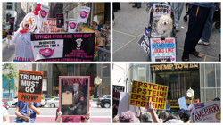 ABD’de 50 Eyalet Ayağa Kalktı! Tek Bir Talepleri Var...