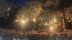 Aydın'da Çıkan Yangın Kontrol Altına Alındı