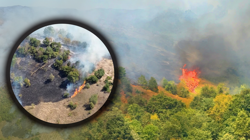 Düzce’de ‘Ateş Hattında 6.Saat! 100 Dönüm Kül Oldu 200 Dönüm Risk Altında