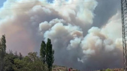 Bursa'da Orman Yangını! Rüzgarla Kısa Sürede Büyüdü, Ekipler Müdahale Ediyor