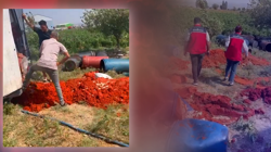 Salça Diye Zehir Satmışlar! Hem de Tonlarca... Vatandaşa Bu Reva mı?