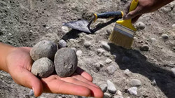 Van’ın Göbeğinde Keşfettiler! Arkeoloji Tarihinde Bir İlk, Yığıntı Halinde Bulundu: Bir Tanesi Bile Çok Değerli